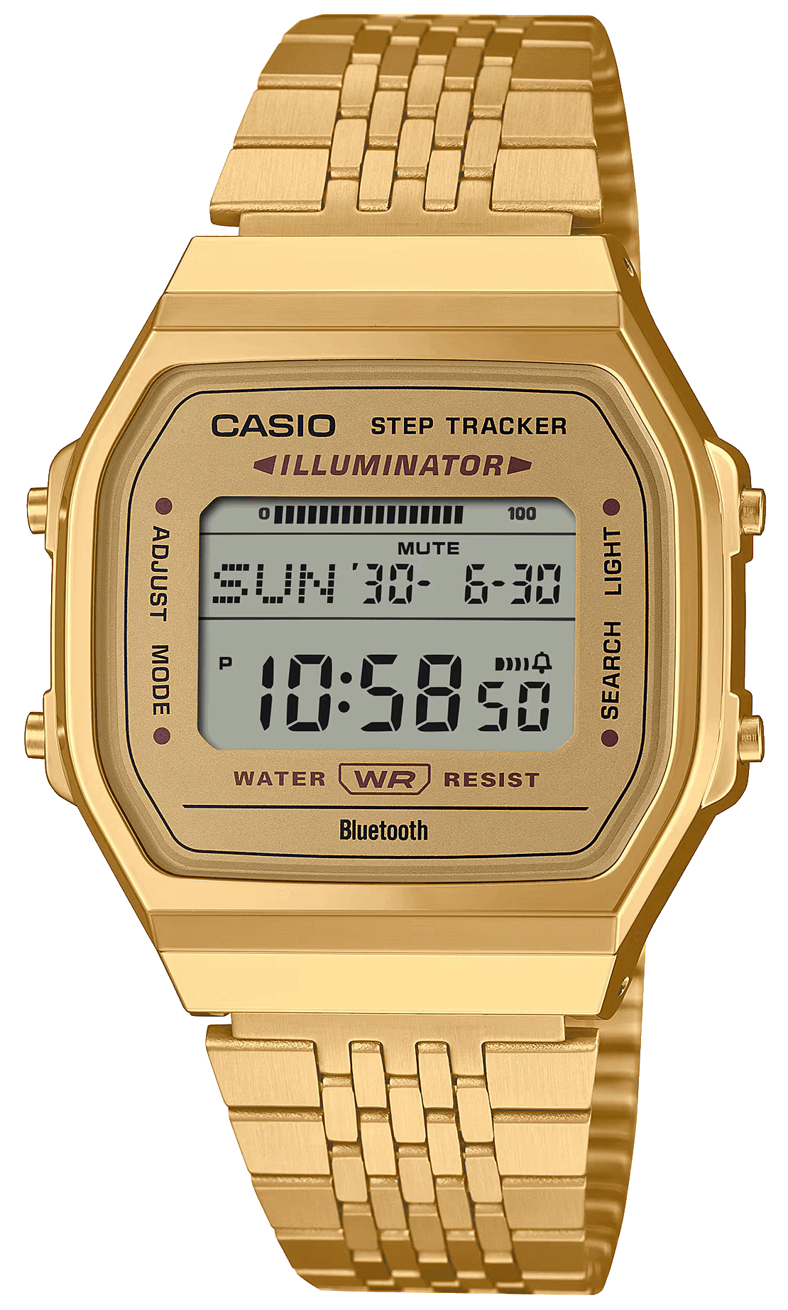 Casio Collection ABL-100WEG-9A