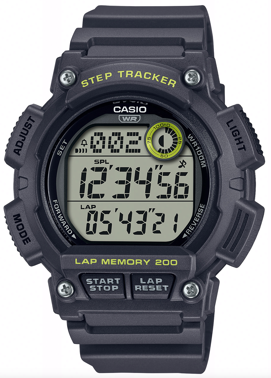 Casio Collection WS-2100H-8A